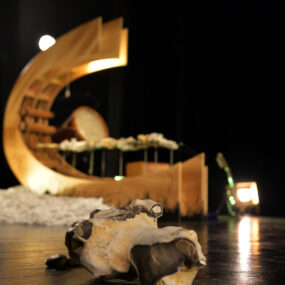 le silex day, un éclairage sur le silexophone